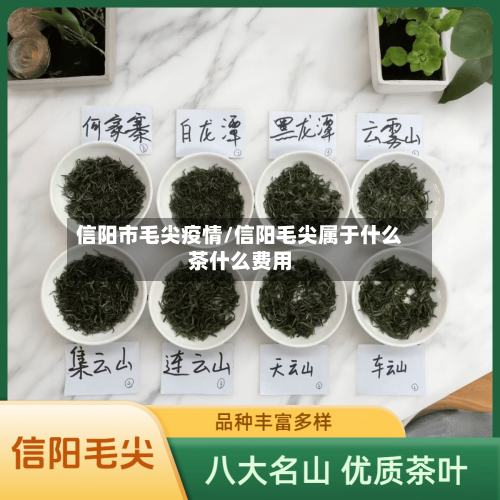 信阳市毛尖疫情/信阳毛尖属于什么茶什么费用-第1张图片