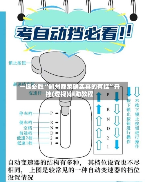 一键必胜“衢州都莱确实真的有挂”开挂(透视)辅助教程-第2张图片