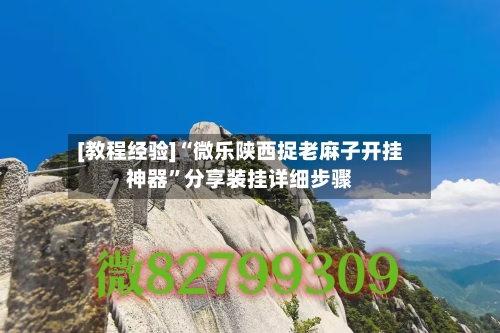 [教程经验]“微乐陕西捉老麻子开挂神器	”分享装挂详细步骤-第2张图片