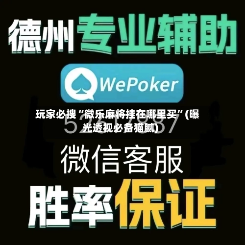 玩家必搜“微乐麻将挂在哪里买	”(曝光透视必备猫腻)-第2张图片