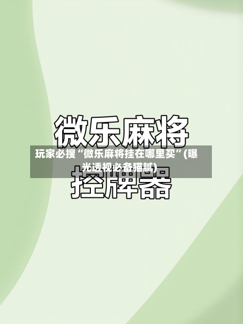 玩家必搜“微乐麻将挂在哪里买”(曝光透视必备猫腻)-第1张图片