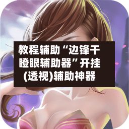 教程辅助“边锋干瞪眼辅助器”开挂(透视)辅助神器-第1张图片
