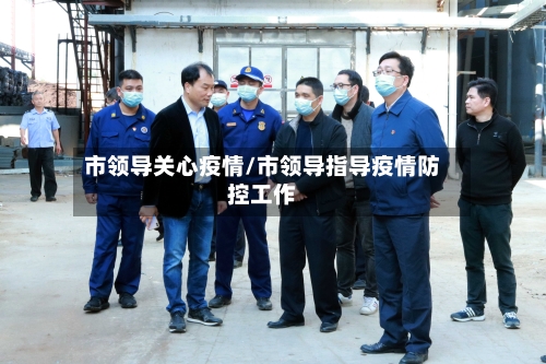 市领导关心疫情/市领导指导疫情防控工作-第1张图片