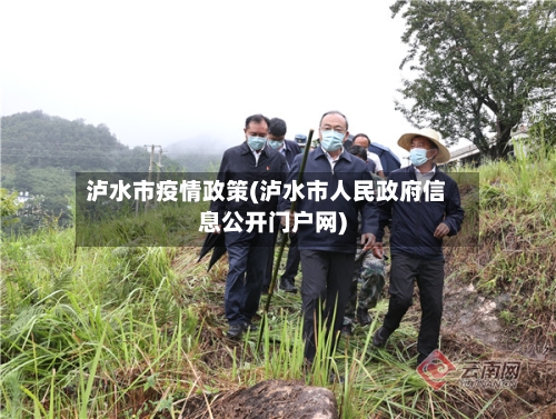 泸水市疫情政策(泸水市人民政府信息公开门户网)-第2张图片