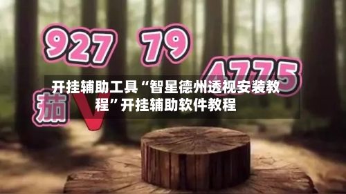 开挂辅助工具“智星德州透视安装教程”开挂辅助软件教程-第1张图片