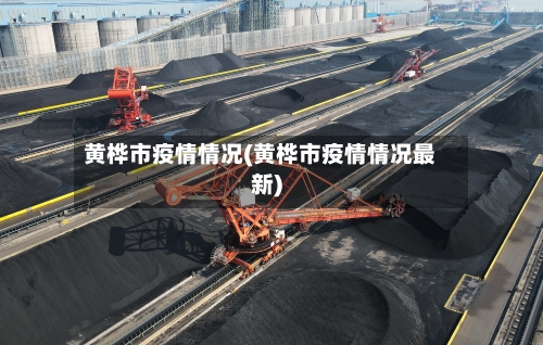 黄桦市疫情情况(黄桦市疫情情况最新)-第2张图片