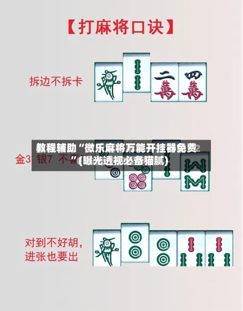 教程辅助“微乐麻将万能开挂器免费”(曝光透视必备猫腻)-第1张图片