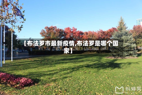 【布法罗市最新疫情,布法罗是哪个国家】-第1张图片