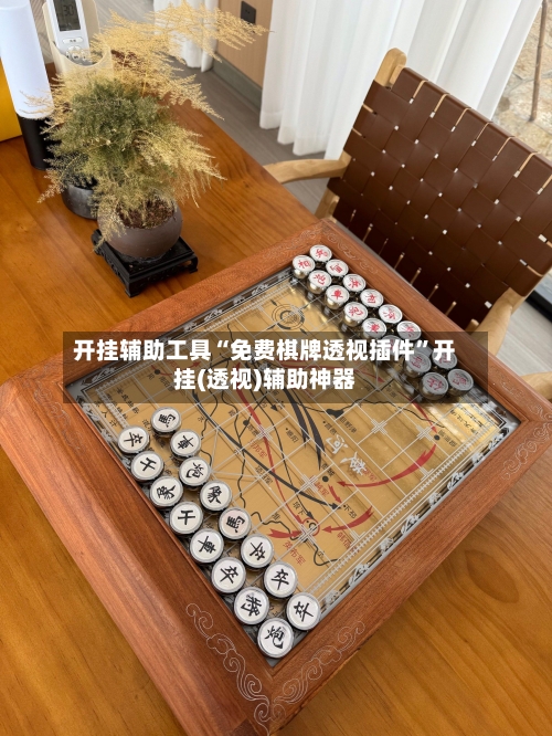 开挂辅助工具“免费棋牌透视插件”开挂(透视)辅助神器-第1张图片