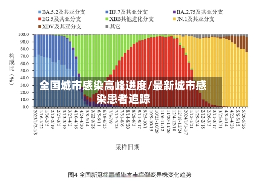 全国城市感染高峰进度/最新城市感染患者追踪-第3张图片