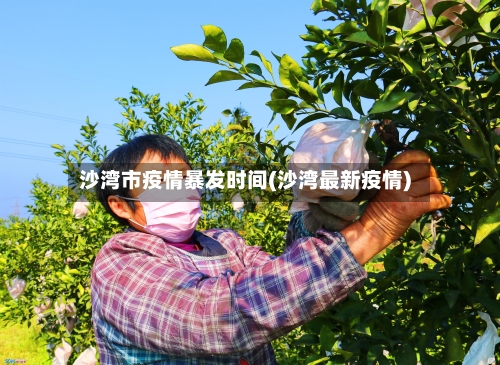沙湾市疫情暴发时间(沙湾最新疫情)-第2张图片