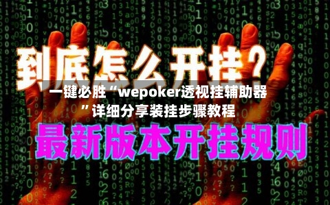 一键必胜“wepoker透视挂辅助器”详细分享装挂步骤教程-第3张图片