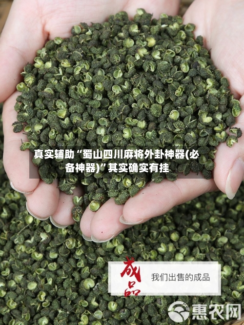 真实辅助“蜀山四川麻将外卦神器(必备神器)	”其实确实有挂-第1张图片