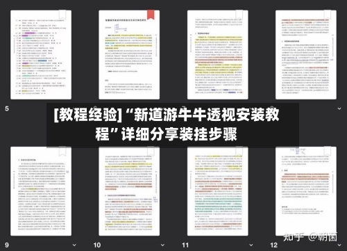 [教程经验]“新道游牛牛透视安装教程”详细分享装挂步骤-第1张图片