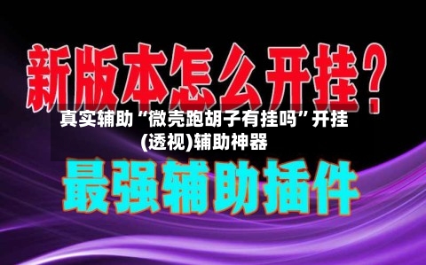 真实辅助“微壳跑胡子有挂吗	”开挂(透视)辅助神器-第1张图片