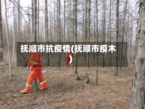 抚顺市抗疫情(抚顺市疫木)-第2张图片