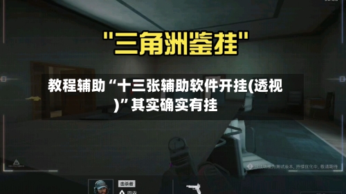 教程辅助“十三张辅助软件开挂(透视)”其实确实有挂-第1张图片