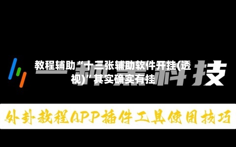 教程辅助“十三张辅助软件开挂(透视)”其实确实有挂-第3张图片