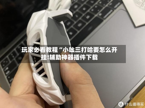 玩家必看教程“小吆三打哈要怎么开挂!辅助神器插件下载-第2张图片