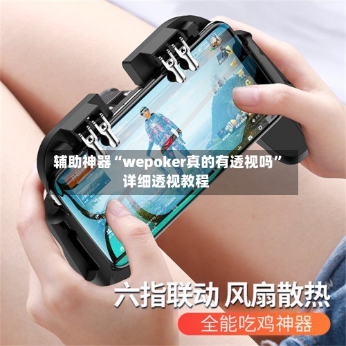 辅助神器“wepoker真的有透视吗”详细透视教程-第1张图片