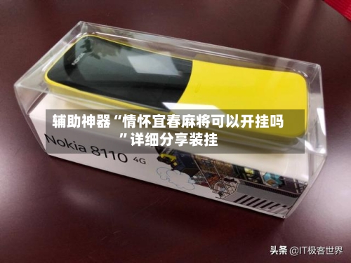 辅助神器“情怀宜春麻将可以开挂吗”详细分享装挂-第2张图片