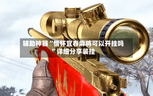 辅助神器“情怀宜春麻将可以开挂吗”详细分享装挂-第3张图片