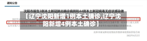【辽宁沈阳新增1例本土确诊,辽宁沈阳新增4例本土确诊】-第2张图片