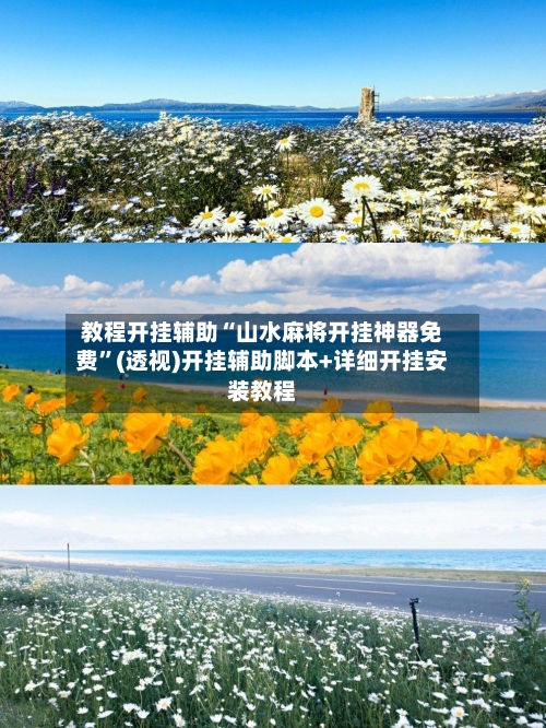 教程开挂辅助“山水麻将开挂神器免费”(透视)开挂辅助脚本+详细开挂安装教程-第1张图片