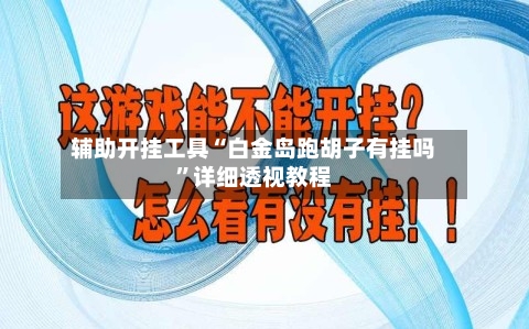 辅助开挂工具“白金岛跑胡子有挂吗”详细透视教程-第1张图片