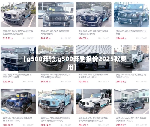 【g500奔驰,g500奔驰报价2025款费用】-第2张图片