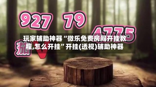 玩家辅助神器“微乐免费房间开挂教程,怎么开挂”开挂(透视)辅助神器-第3张图片