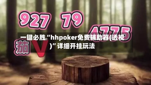 一键必胜“hhpoker免费辅助器(透视)	”详细开挂玩法-第2张图片