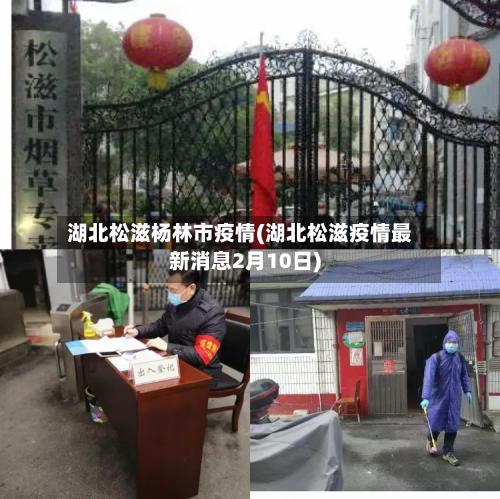 湖北松滋杨林市疫情(湖北松滋疫情最新消息2月10日)-第1张图片