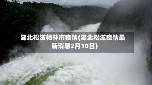 湖北松滋杨林市疫情(湖北松滋疫情最新消息2月10日)-第2张图片