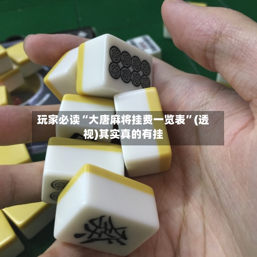 玩家必读“大唐麻将挂费一览表”(透视)其实真的有挂-第1张图片