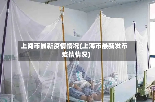 上海市最新疫情情况(上海市最新发布疫情情况)-第2张图片