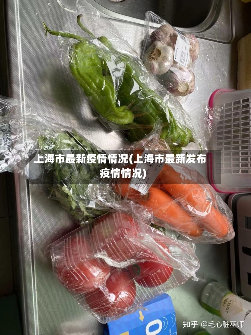 上海市最新疫情情况(上海市最新发布疫情情况)-第1张图片