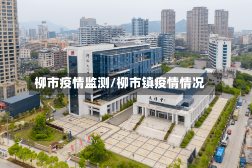 柳市疫情监测/柳市镇疫情情况-第1张图片