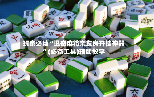 玩家必读“迅奇麻将亲友房开挂神器”(必备工具)辅助教学-第3张图片