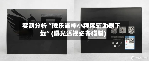 实测分析“微乐雀神小程序辅助器下载”(曝光透视必备猫腻)-第1张图片