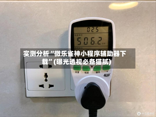实测分析“微乐雀神小程序辅助器下载”(曝光透视必备猫腻)-第2张图片