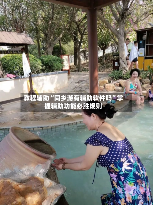 教程辅助“同乡游有辅助软件吗	”掌握辅助功能必胜规则-第1张图片