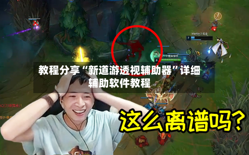 教程分享“新道游透视辅助器”详细辅助软件教程-第3张图片
