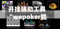 开挂辅助工具“wepoker能不能透视辅助	”(必备工具)辅助教学-第2张图片