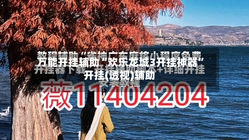 万能开挂辅助“欢乐龙城3开挂神器”开挂(透视)辅助-第1张图片