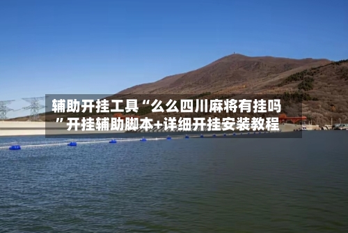辅助开挂工具“么么四川麻将有挂吗”开挂辅助脚本+详细开挂安装教程-第3张图片