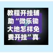 教程开挂辅助“微乐锄大地怎样免费开挂”真实开挂技巧分享-第2张图片