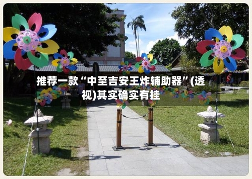 推荐一款“中至吉安王炸辅助器	”(透视)其实确实有挂-第2张图片