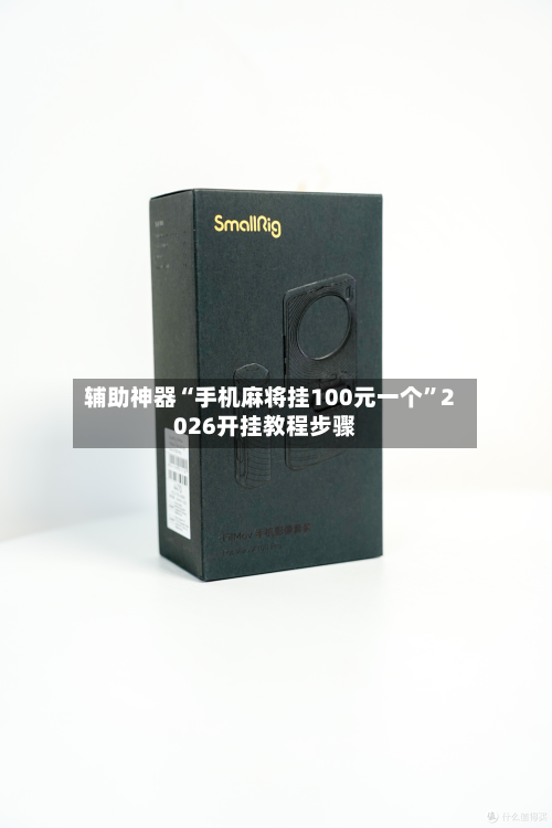 辅助神器“手机麻将挂100元一个	”2026开挂教程步骤-第3张图片