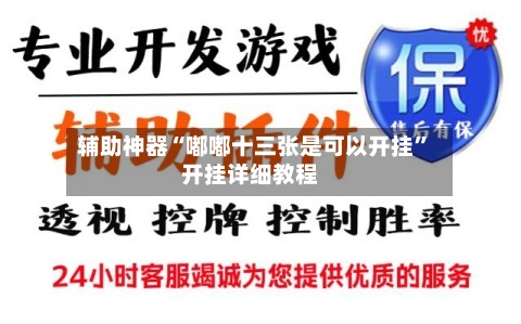 辅助神器“嘟嘟十三张是可以开挂	”开挂详细教程-第1张图片